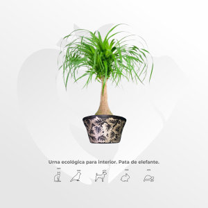 Urna ecológica Pata de Elefante