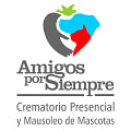 www.amigosporsiempre.com.mx
