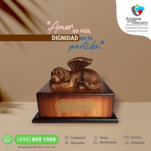 Urna especial de madera con figura de Perro
